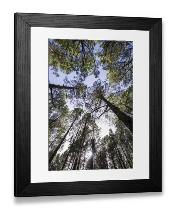 Framed Print : Spain, Canary Islands, La Palma Island, Parque Nacional Caldera de Taburiente national Framed Print : Spain, Canary Islands, La Palma Island, Parque Nacional Caldera de Taburiente national