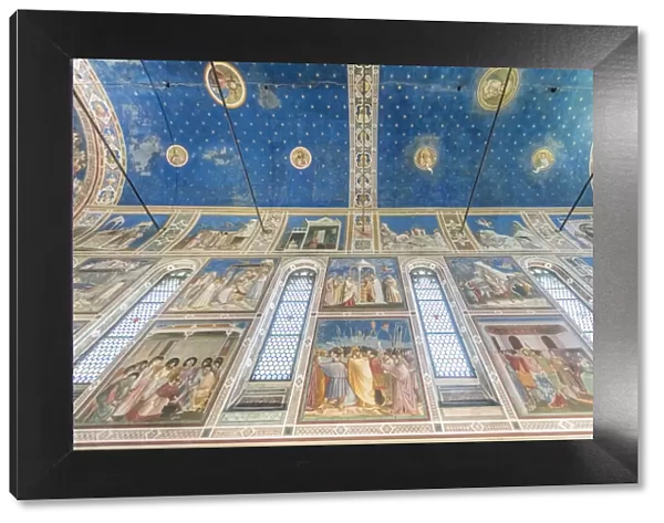 Italy, Padua, Scrovegni Chapel Ceiling with frescoes painted by Giotto in the 14th