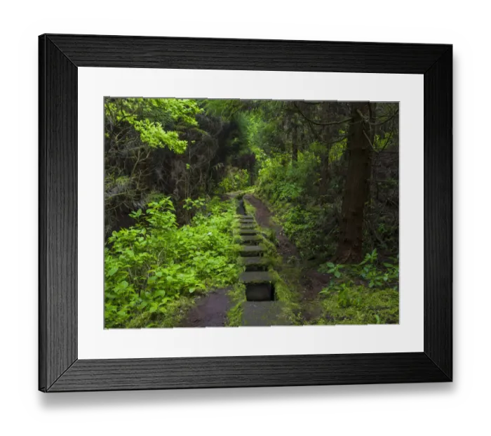 Framed Print : Levada, traditional irrigation channel near Cabeco Gordo in dense forest Framed Print : Levada, traditional irrigation channel near Cabeco Gordo in dense forest