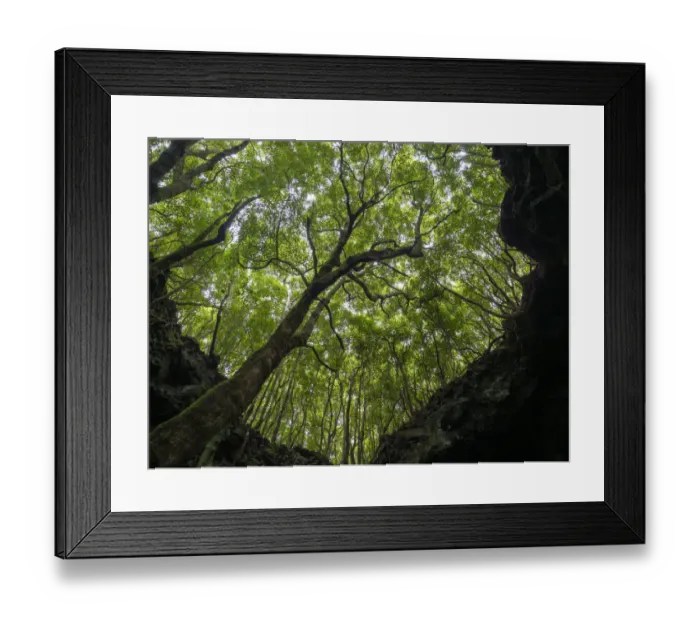 Framed Print : Lava tube Gruta das Torres, collapsed ceiling. Pico Island Framed Print : Lava tube Gruta das Torres, collapsed ceiling. Pico Island