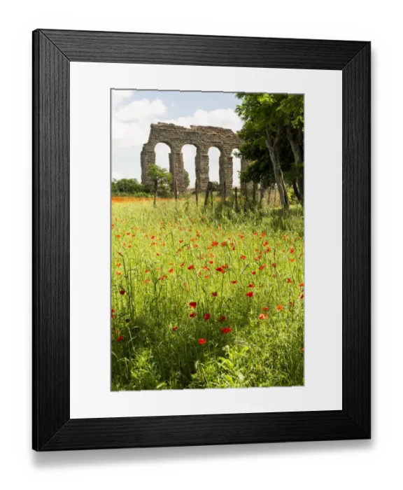 Framed Print : Italy, Rome. Parc of the Aqueducts (Parco degli Acquedotti)