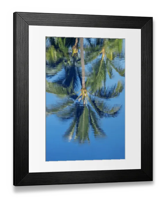 Framed Print : Reflection of palm trees on water