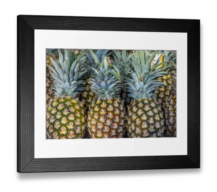 Framed Print : Sugarloaf pineapple Framed Print : Sugarloaf pineapple