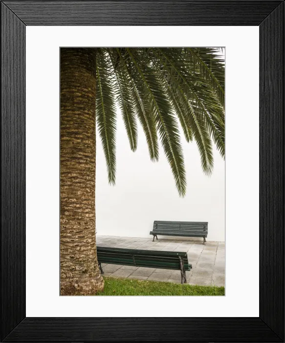 Framed Print : Spain, Canary Islands, La Palma Island, San Andres, detail of the village square Framed Print : Spain, Canary Islands, La Palma Island, San Andres, detail of the village square