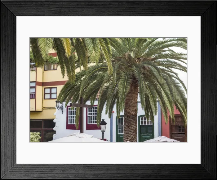 Framed Print : Spain, Canary Islands, La Palma Island, Santa Cruz de la Palma, palm tree