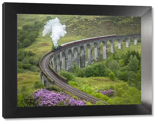 Scotland. The Jacobite Train on elevated track