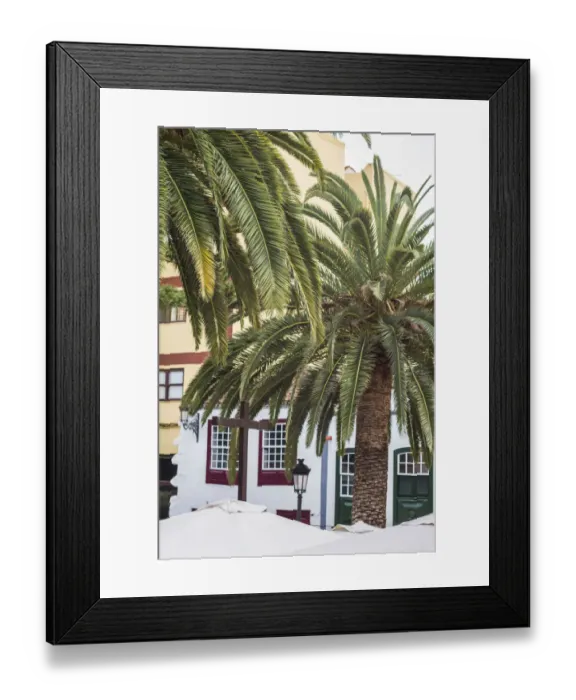 Framed Print : Spain, Canary Islands, La Palma Island, Santa Cruz de la Palma, palm tree Framed Print : Spain, Canary Islands, La Palma Island, Santa Cruz de la Palma, palm tree