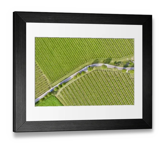 Framed Print : Italy, Valpolicella vineyards Framed Print : Italy, Valpolicella vineyards