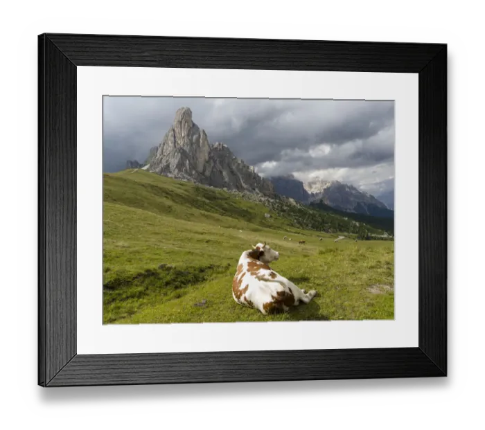 Framed Print : Dolomites at Passo Giau. Ra Gusela and Tofane. The Dolomites are part of the UNESCO World Framed Print : Dolomites at Passo Giau. Ra Gusela and Tofane. The Dolomites are part of the UNESCO World