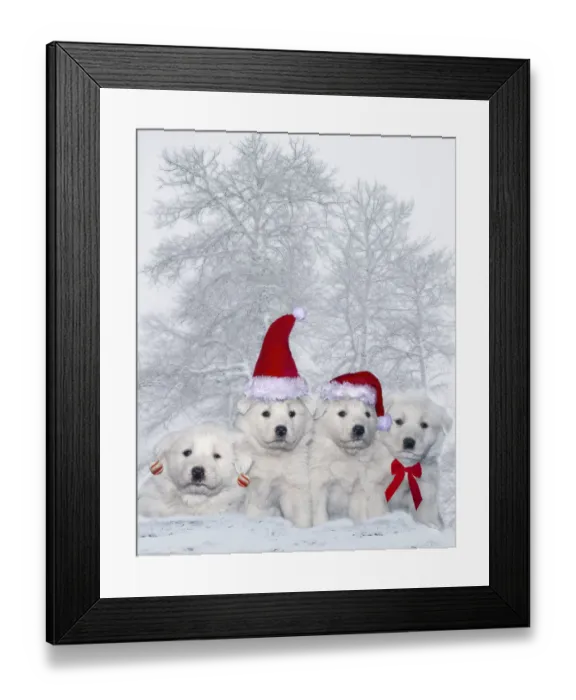 Framed Print : Great Pyrenees puppies with Christmas decorations