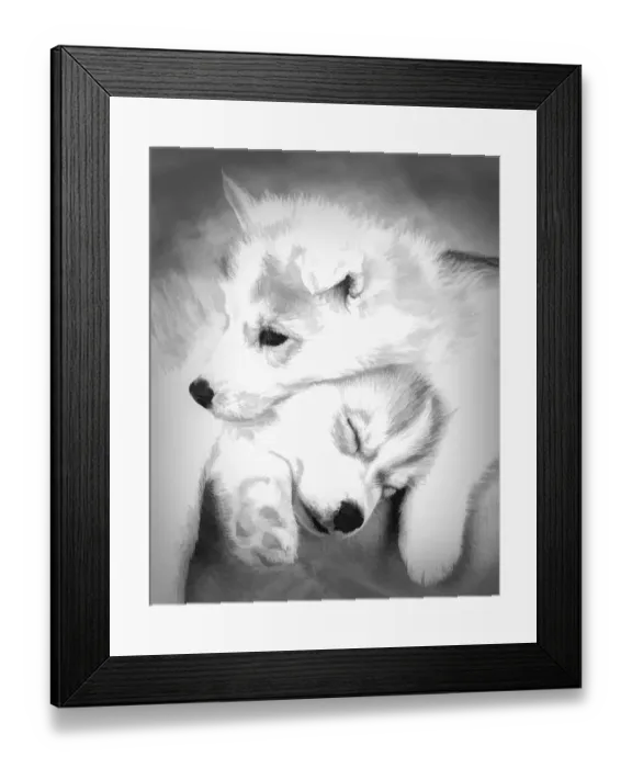 Framed Print : Abstract of Siberian husky puppies