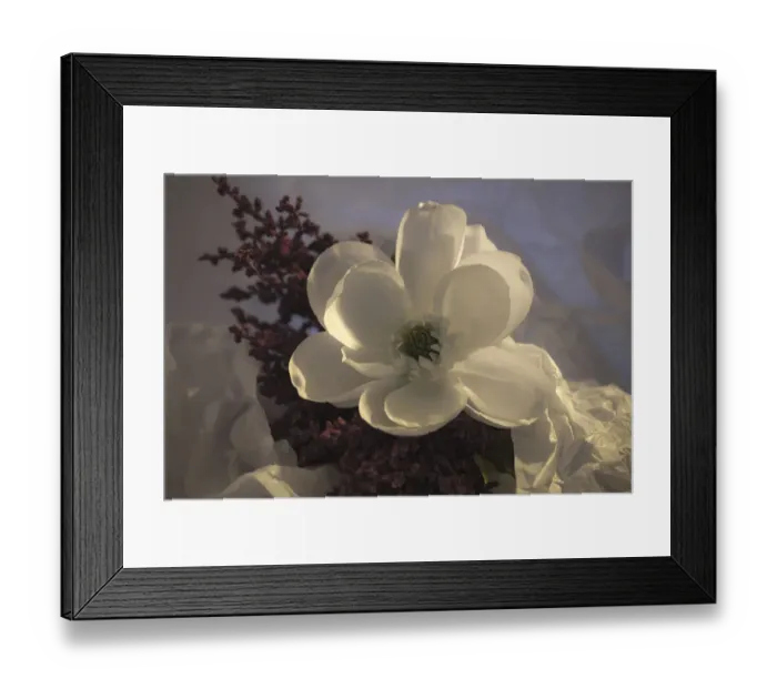 Framed Print : Close-up of flower