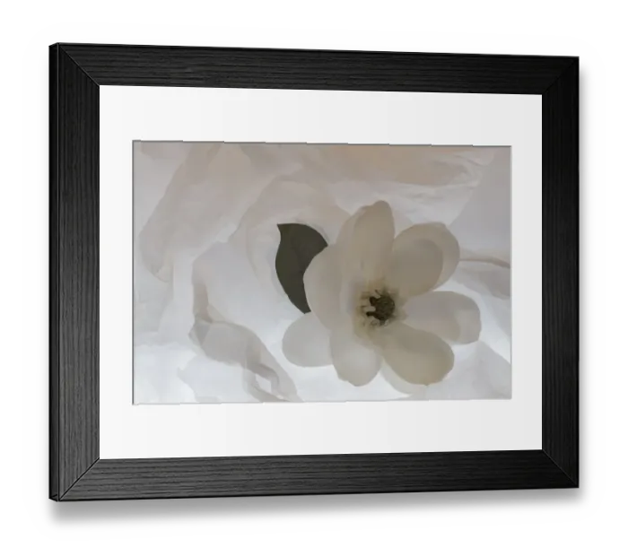 Framed Print : Close-up of flower Framed Print : Close-up of flower