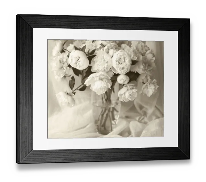 Framed Print : Sepia tone Peony Framed Print : Sepia tone Peony