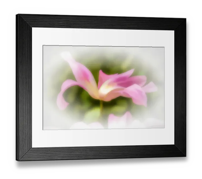 Framed Print : Abstract of pink flower petals Framed Print : Abstract of pink flower petals