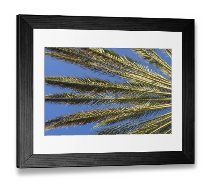 Framed Print : Spain, Canary Islands, Fuerteventura Island, Morro Jable, Playa del Matorral beach Framed Print : Spain, Canary Islands, Fuerteventura Island, Morro Jable, Playa del Matorral beach