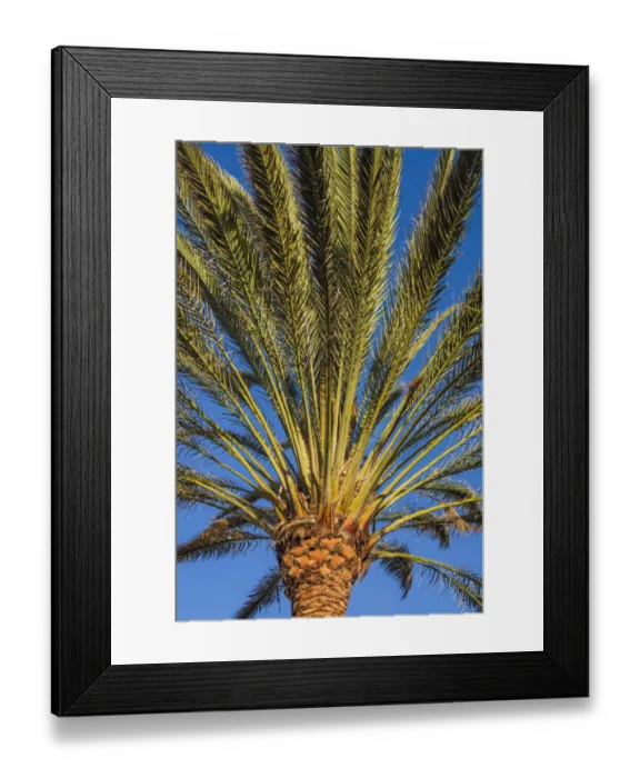 Framed Print : Spain, Canary Islands, Fuerteventura Island, Morro Jable, Playa del Matorral beach
