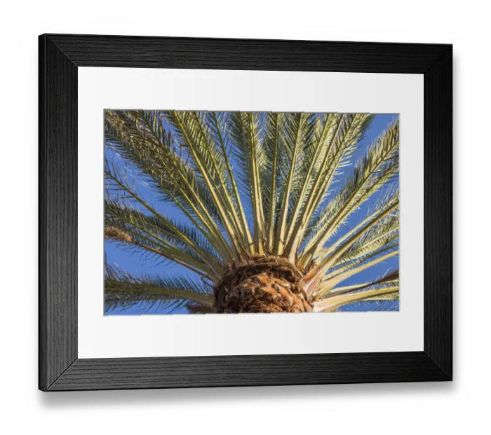 Framed Print : Spain, Canary Islands, Fuerteventura Island, Morro Jable, Playa del Matorral beach Framed Print : Spain, Canary Islands, Fuerteventura Island, Morro Jable, Playa del Matorral beach