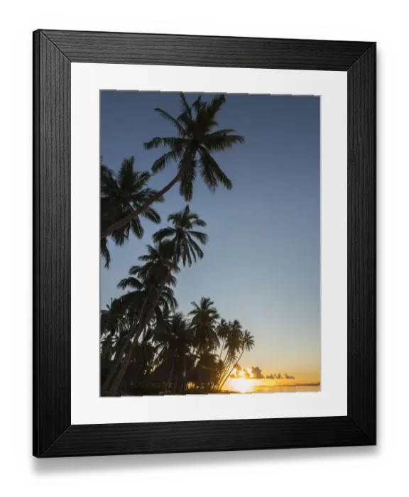 Framed Print : Fiji, Vanua Levu. Beach sunset with palm trees Framed Print : Fiji, Vanua Levu. Beach sunset with palm trees