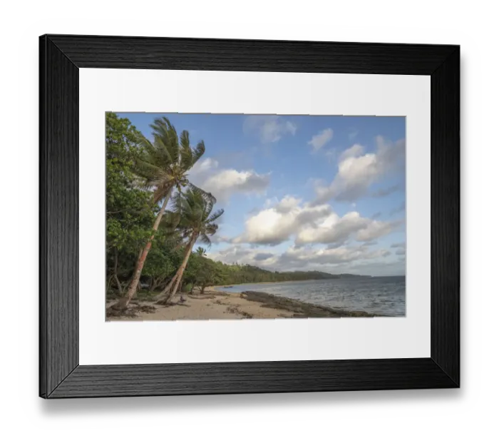 Framed Print : Fiji, Viti Levu. Beach with palm trees and white clouds Framed Print : Fiji, Viti Levu. Beach with palm trees and white clouds