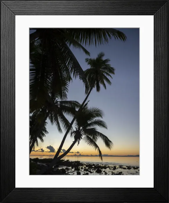 Framed Print : Fiji, Vanua Levu. Beach sunset with palm trees