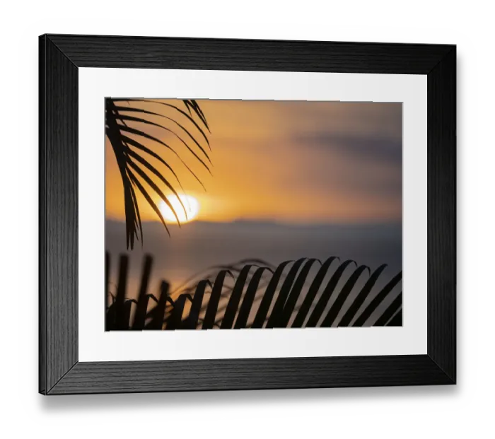 Framed Print : Fiji, Vanua Levu. Palm fronds silhouetted in sunset over the ocean