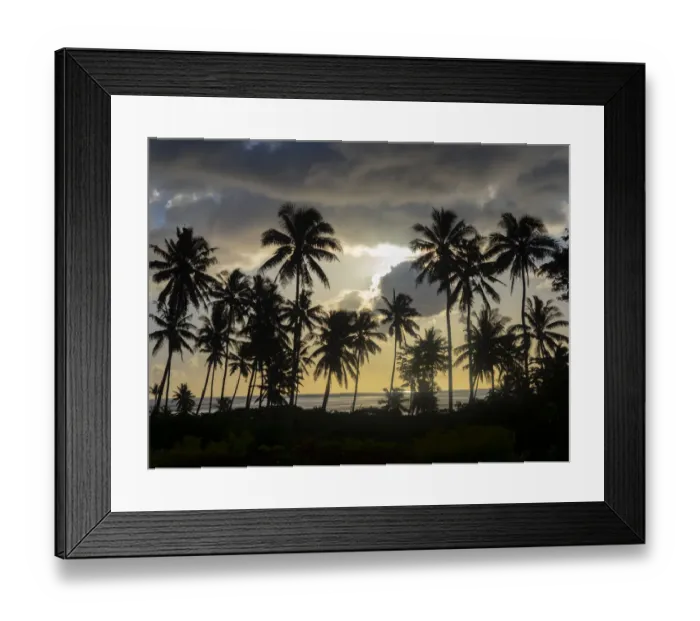 Framed Print : Fiji, Taveuni Island. Beach sunset with palm trees Framed Print : Fiji, Taveuni Island. Beach sunset with palm trees
