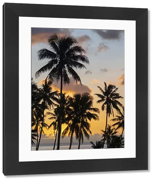 Fiji, Taveuni Island. Beach sunset with palm trees