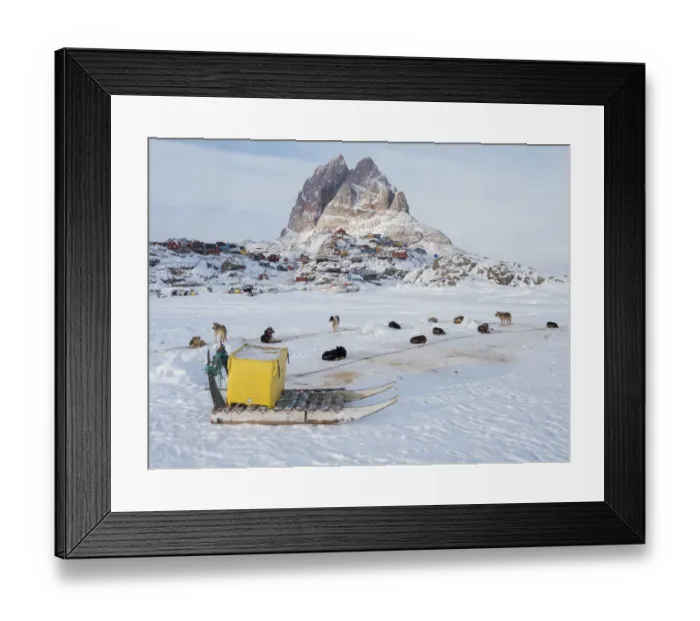 Framed Print : Team of sled dog during winter in Uummannaq in Greenland Framed Print : Team of sled dog during winter in Uummannaq in Greenland