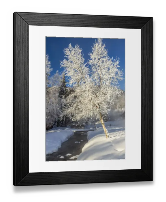 Framed Print : USA, Alaska. Stream and frosted trees in winter