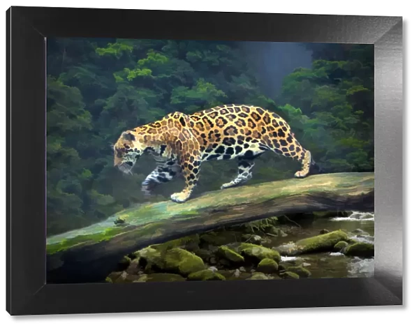 Brazil, Pantanal. Abstract of jaguar walking on log
