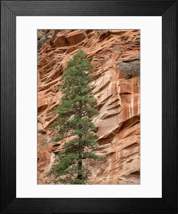 Framed Print : USA, Arizona, Oak Creek Canyon, Coconino National Forest