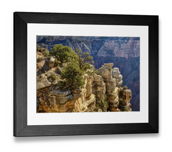 Framed Print : USA, Arizona, Grand Canyon National Park, Rocks and trees at Grandview Point