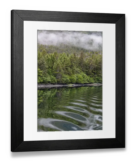 Framed Print : USA, Alaska, Tongass National Forest. Boat wake ripples in Mirror Harbor Framed Print : USA, Alaska, Tongass National Forest. Boat wake ripples in Mirror Harbor