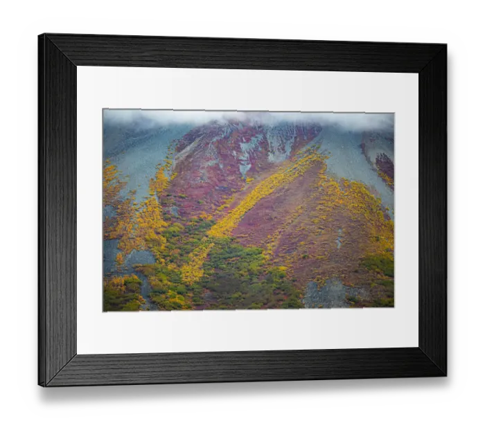 Framed Print : Alaska, USA, autumn color