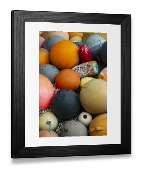 Framed Print : Homer, Alaska, USA, Multi-colored buoy, floating devices Framed Print : Homer, Alaska, USA, Multi-colored buoy, floating devices