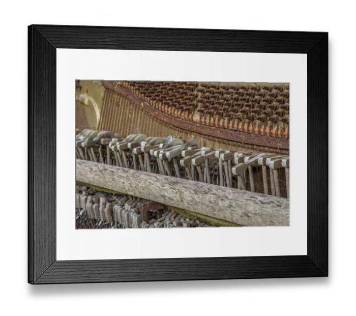 Framed Print : USA, Alaska, Sitka. Discarded Lindeman and Sons piano close-up