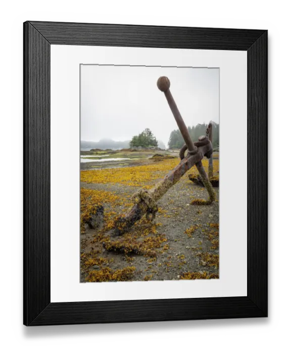 Framed Print : USA, Alaska, Sitka. Old anchors at ocean low tide. Credit as