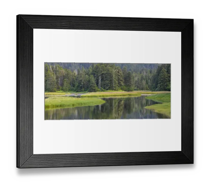 Framed Print : USA, Alaska. Panoramic of meadow at high tide in Tongass National Forest Framed Print : USA, Alaska. Panoramic of meadow at high tide in Tongass National Forest