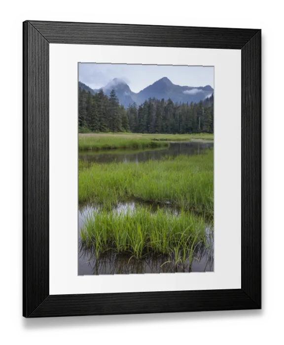 Framed Print : USA, Alaska, Sitka. Meadow at high tide in Tongass National Forest Framed Print : USA, Alaska, Sitka. Meadow at high tide in Tongass National Forest