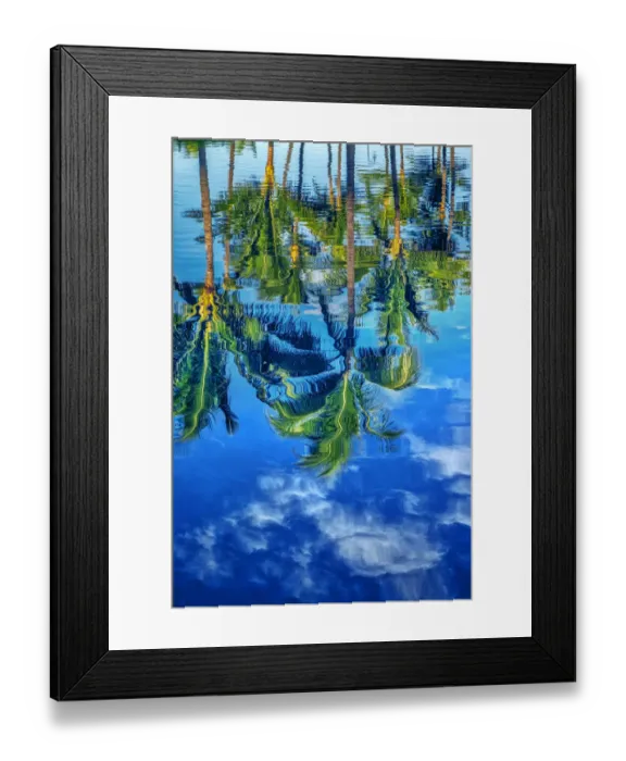 Framed Print : Reflection of palm trees on water