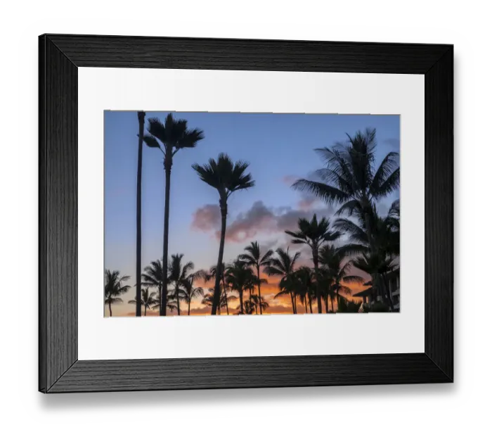 Framed Print : Tropical sunset Framed Print : Tropical sunset