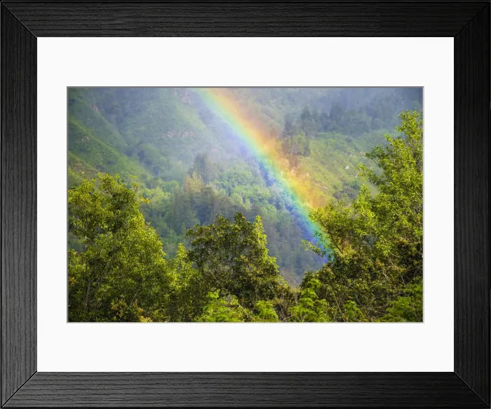 Framed Print : Rainbow in Andrew Molera State Park, California, USA