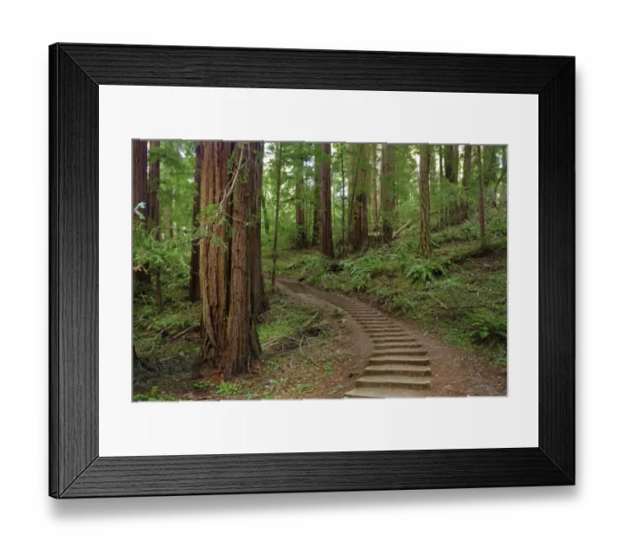 Framed Print : Muir Woods National Monument, Marin County, California, USA