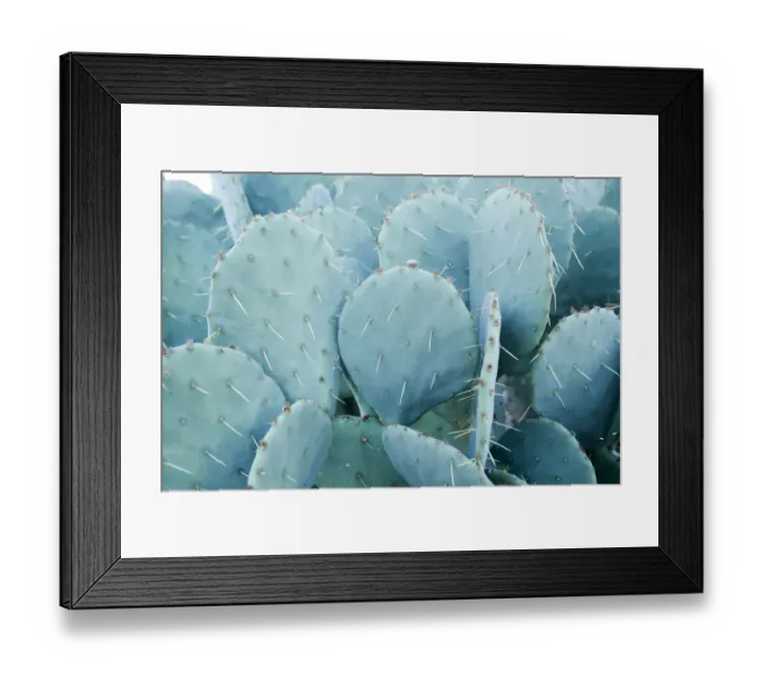 Framed Print : Desert cactus, Carefree, Arizona Framed Print : Desert cactus, Carefree, Arizona