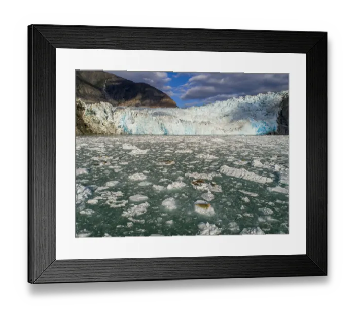 Framed Print : USA, Alaska, Tracy Arm-Fords Terror Wilderness, Overhead aerial view of Harbor Seals