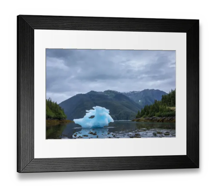 Framed Print : USA, Alaska, Petersburg, Large iceberg from LeConte Glacier grounded at low tide in Framed Print : USA, Alaska, Petersburg, Large iceberg from LeConte Glacier grounded at low tide in