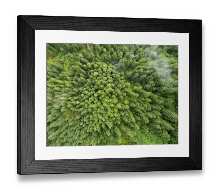 Framed Print : USA, Alaska, Juneau, Taku Harbor State Marine Park, Aerial view of coastal rainforest
