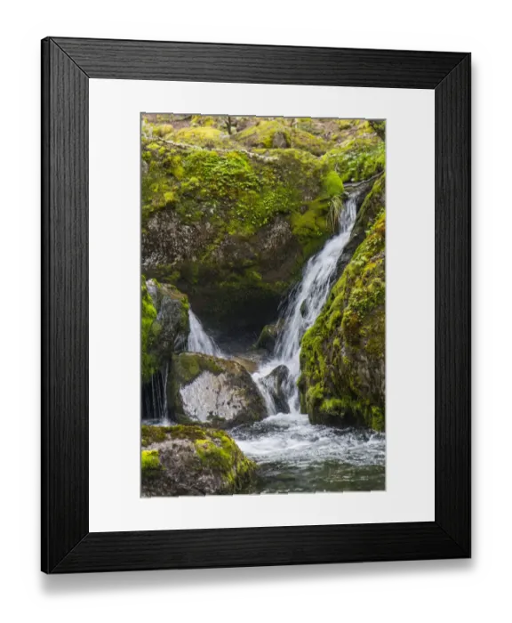 Framed Print : Within Parc Nacional Torres del Paine, there is a tropical rainforest area where you will