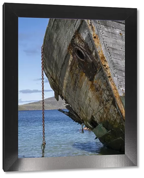 Falkland Islands, New Island. Grounded and abandoned ship on shore